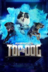 America's Top Dog