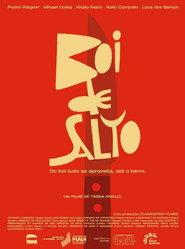 Boi de Salto
