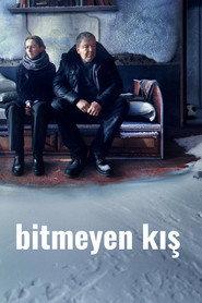 Bitmeyen Kış