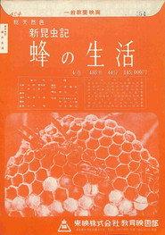 新昆虫記―蜂の生活