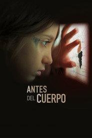 Antes del cuerpo