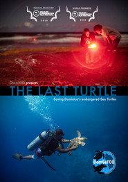 The Last Turtle