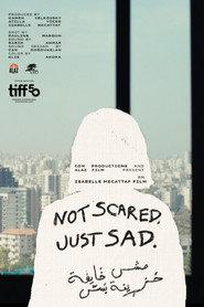 Not Scared, Just Sad