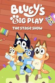 Bluey's Big Play