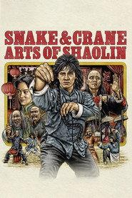 Shaolin'in Yılan ve Turna Tekniği