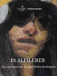 13 Alfinetes