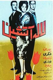 لاله آتشین
