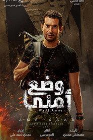 وضع أمني