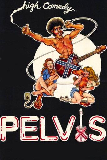 Pelvis afişi