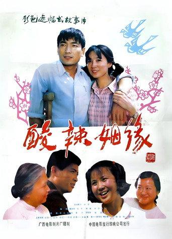 酸辣姻缘 afişi