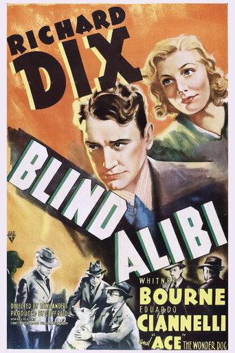 Blind Alibi afişi