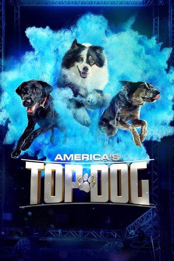 America's Top Dog afişi