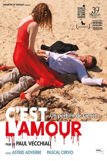 C'est l'amour afişi