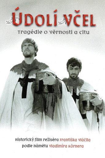 Údolí včel afişi