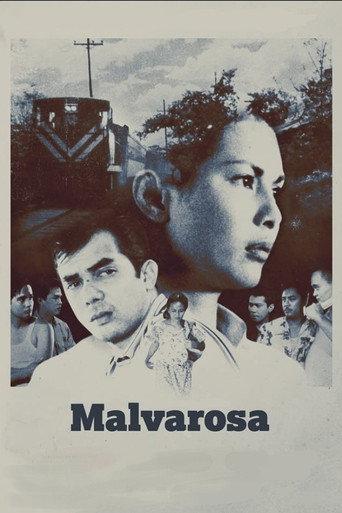 Malvarosa afişi