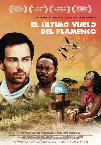 O Último Voo do Flamingo afişi