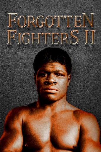 Forgotten Fighters II afişi