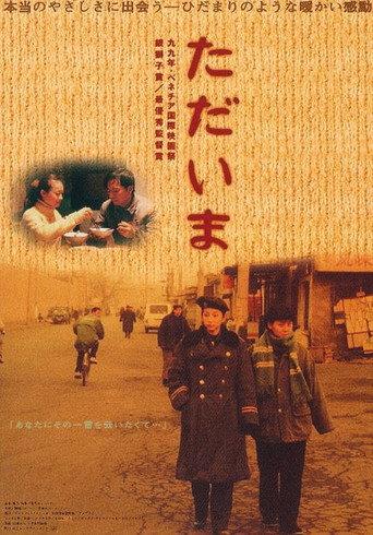 过年回家 afişi