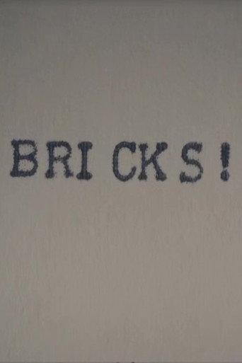 Bricks! afişi
