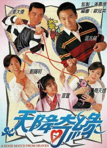 天降奇緣 afişi