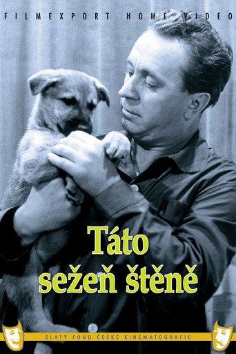 Táto sežeň štěně afişi
