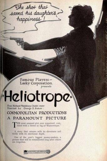 Heliotrope afişi