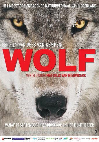 Wolf afişi