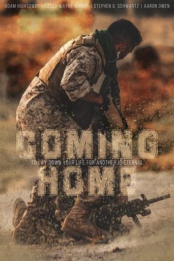 Coming Home afişi