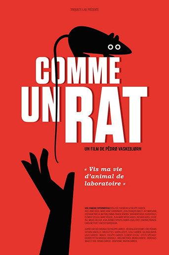 Comme un rat afişi