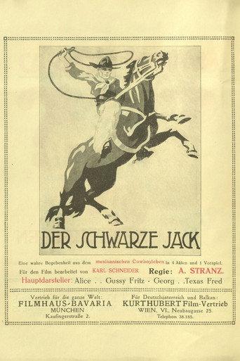 Der schwarze Jack afişi