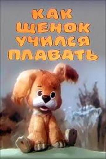 Как щенок учился плавать afişi
