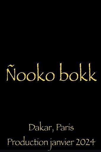 Nooko Bokk afişi