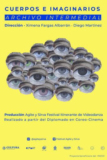 Cuerpos e imaginarios afişi