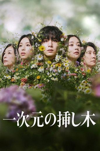 一次元の挿し木 afişi