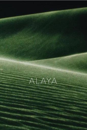 Alaya afişi