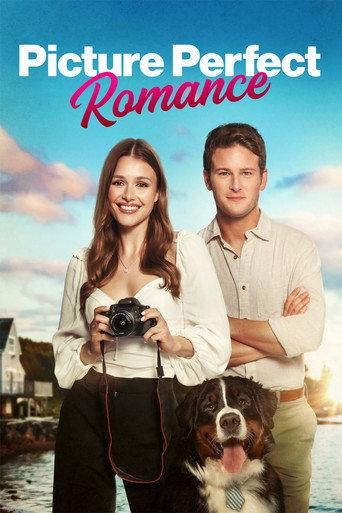 Picture Perfect Romance afişi