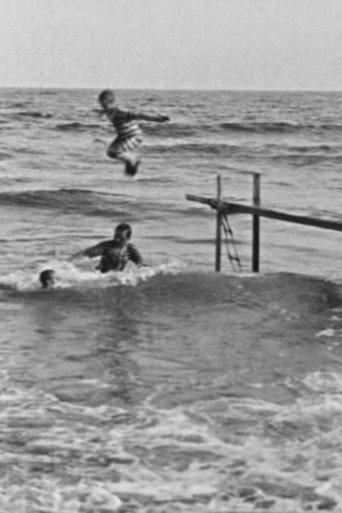 Baignade en mer afişi