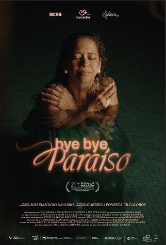 Bye bye, Paraíso afişi