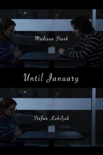 Until January afişi