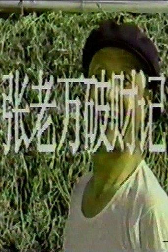 张老万破财记 afişi