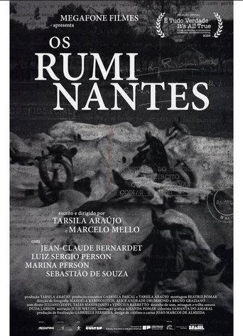 Os Ruminantes afişi
