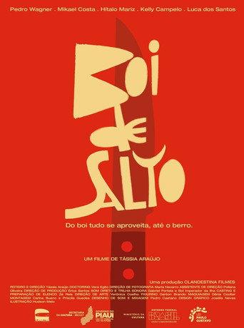Boi de Salto afişi