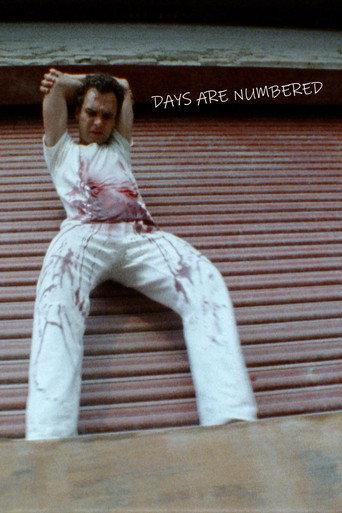 Days Are Numbered afişi