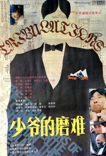 少爷的磨难 afişi