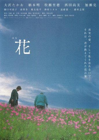 花 afişi