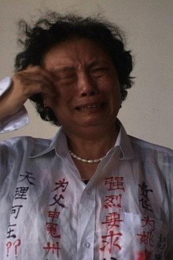 冤衣 afişi