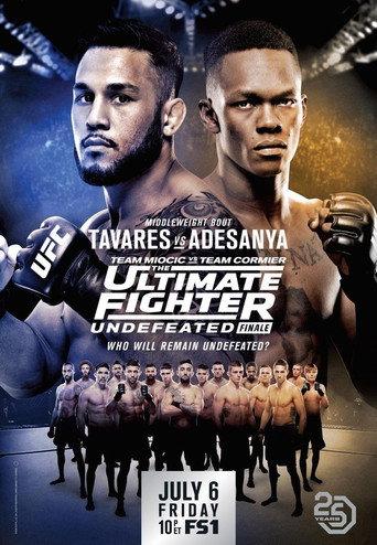 The Ultimate Fighter 27 Finale afişi