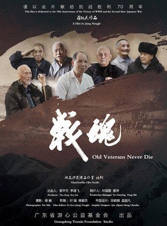战魂 afişi