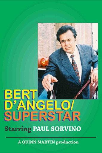 Bert D'Angelo Superstar afişi