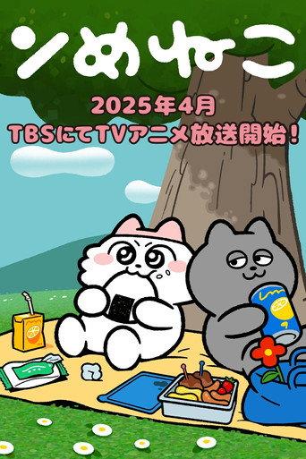 ンめねこ afişi